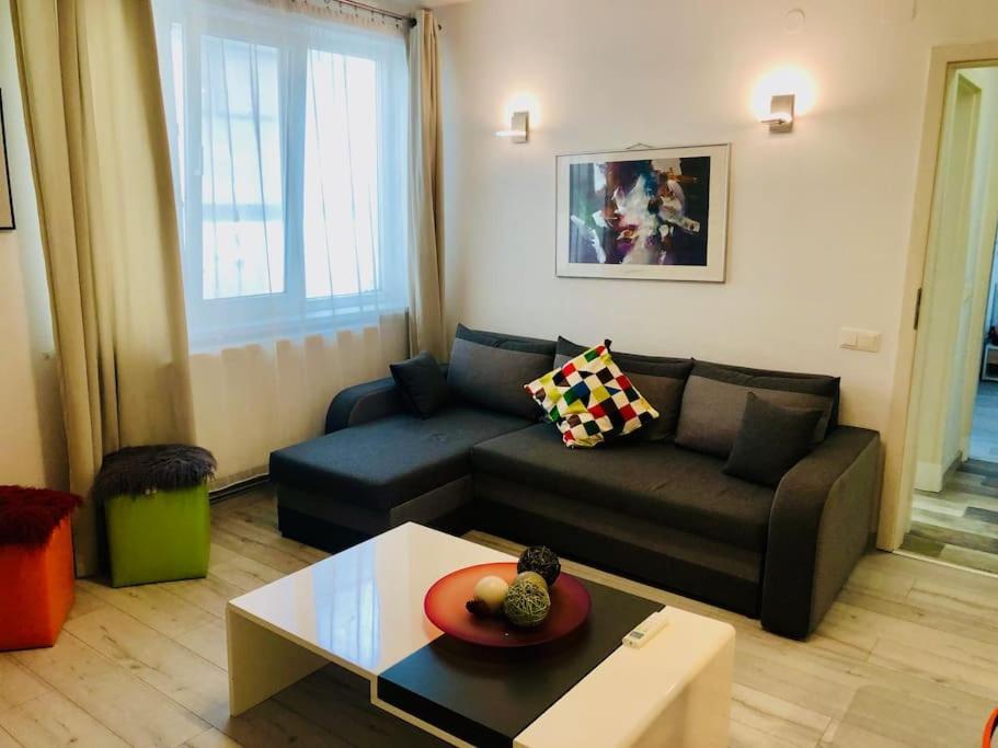 Joy City Stay Colonel Enescu 16 Τιμισοάρα Εξωτερικό φωτογραφία